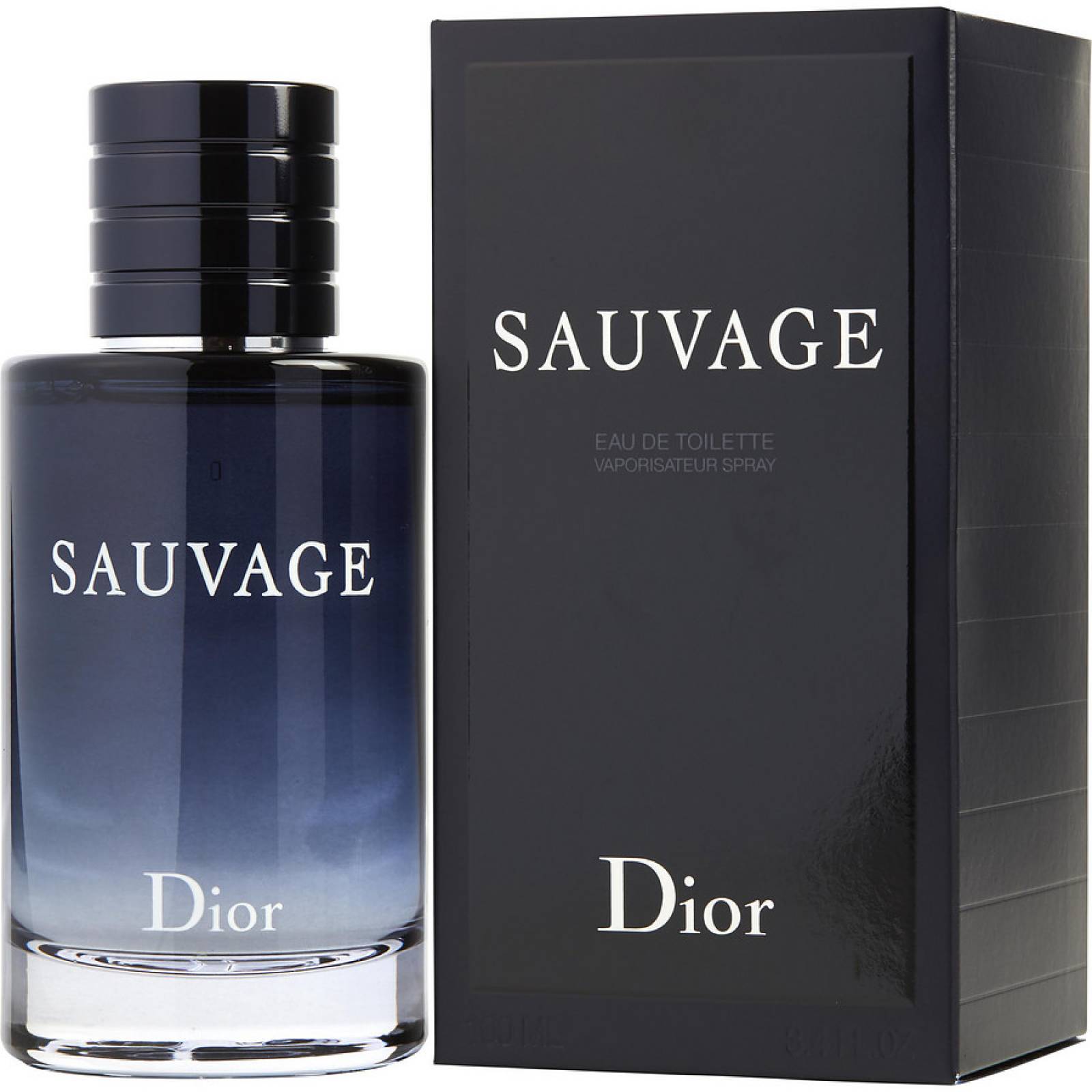 Perfume Christian Dior Homme Eau de Toilette Masculino 100ML